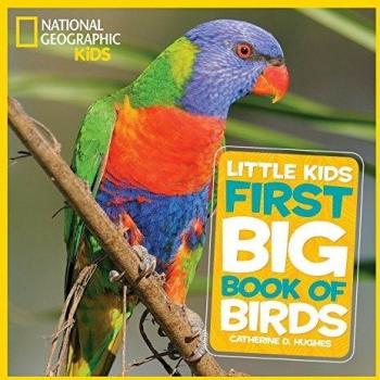 Big Book Of Birds