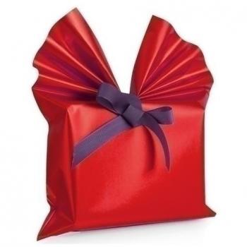 PAPEL REGALO COLIBRI 30x30 ROJO MATE