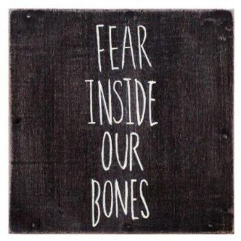 Fear Inside Our Bones (Vinyl Record)