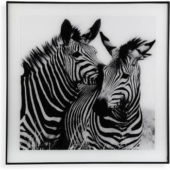 Cuadro Decorativo Zebra Cristal 2 x 50 x 50 cm - Originalidad