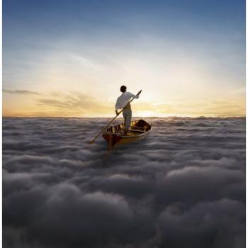 The Endless River [VINYL]