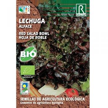 Semillas ECOLOGICAS Lechuga Red Salad Bowl - Hoja de Roble 4gr.
