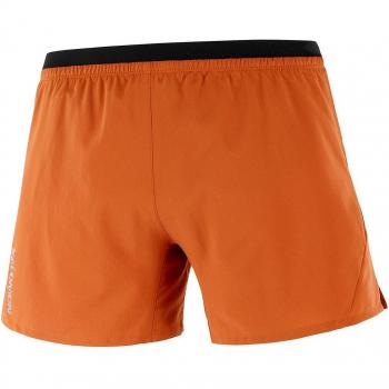 Salomon Short de hombre Cross 5