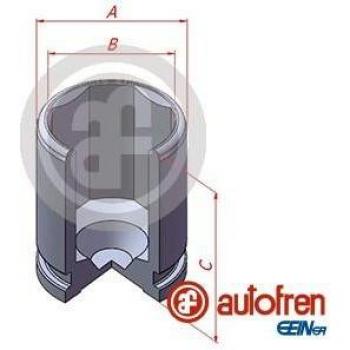 Émbolo de pinza de freno trasero AUTOFREN SEINSA D025543