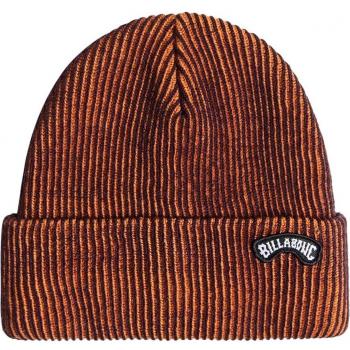 Billabong Arch Patch Beanie for Men