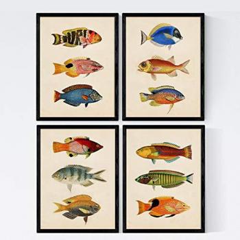 Set de 4 Láminas de Peces Coloridos Efecto Vintage - Báltico - Composición de 12 Peces Diferentes - Fondo Papel Antiguo A3 Sin Marco