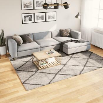 Alfombra Shaggy PAMPLONA Pelo Largo Beige y Antracita 200x280 cm
