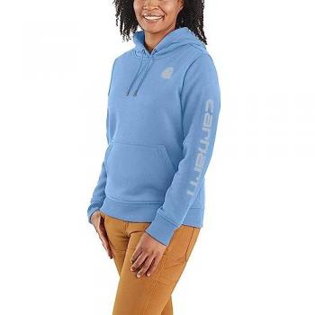Carhartt Clarksburg Logo Sudadera con capucha para mujer - Azul (M), Sudadera Con Capucha Clarksburg Graphic, Carhartt Clarksburg Graphic Sleeve Pullover Sweatshirt Mujer, Skystone, M