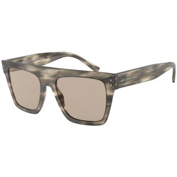 Giorgio Armani Brown Acetate Sunglasses AR8177-5922-3, Unisex, Size: 52 MM