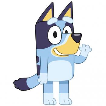 Cojin 3D Bluey 35cm