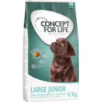 Concept for Life Large Junior - Pack Doble: 2 x 12 kg