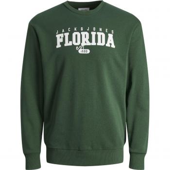 Jack & Jones Cory Kids Crewneck Sweatshirt