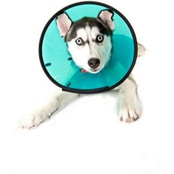 Company of Animals Smart Dog Recovery Collar