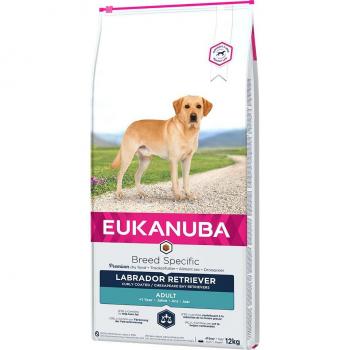Eukanuba Daily Care Adult Overweight/Sterilized Dry Dog Food, 2 x 12 kg Pack