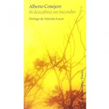 Si Descubres Un Incendio