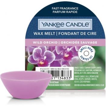 YANKEE CANDLE Tarta Orquídea Salvaje - Cera para lámparas aromáticas, 22 g, fragancia floral y dulce de orquídeas