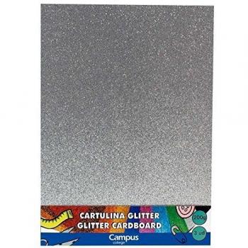 Campus University 630702 - Cartulina, 235 x 305 mm, color plata