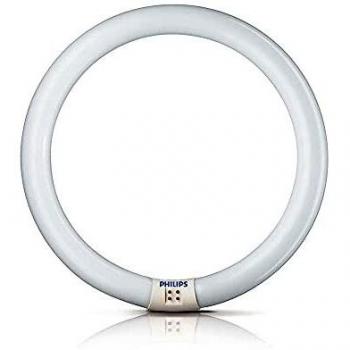 Philips 31031 Tubo Fluorescente Circular Trifosforo, Multicolor, D 21 cm