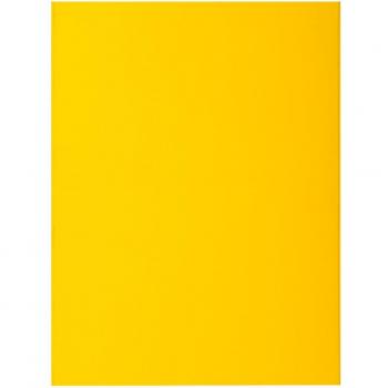 Exacompta 216011E - Subcarpetas con 2 solapas Rock's - 210 g/m2