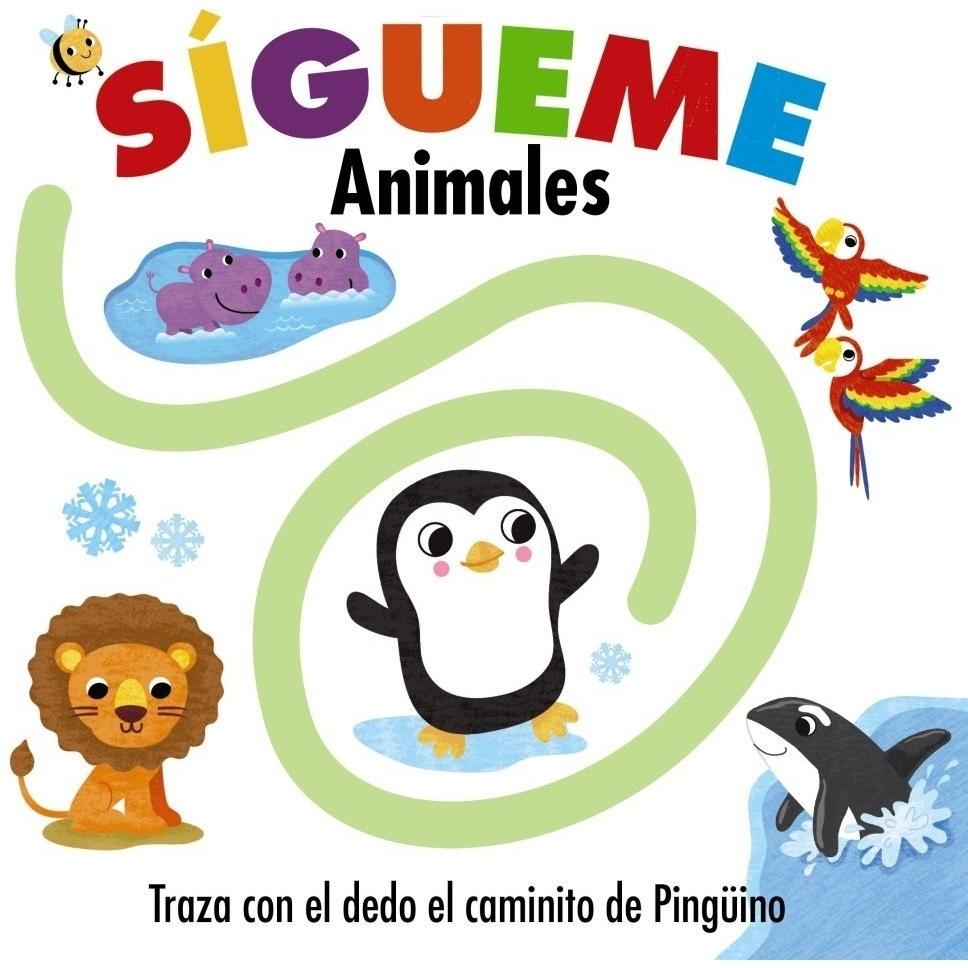 Imagen Principal