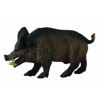 Collecta - Figura de Jabalí (88363), Modelo a Escala de Juguete, Dimensiones 4.5x3.5x9 cm, Apto para Niños y Niñas Mayores de 3 A