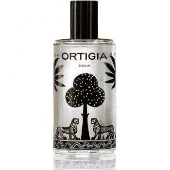 Florio Aroma Room Essence - 100 ml Blue Scent