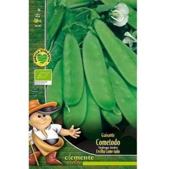 Semillas ecológicas de Guisante Tirabeque