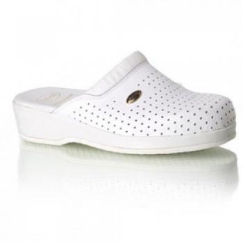 CLOG BACK GUARD BYCAST BI 37