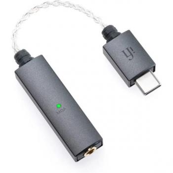 ifi Go Link USB-C DAC and Portable Headphone Amplifier - Gray/Black