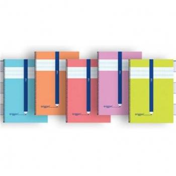 Cuaderno espiral cuadrovia 3mm 80h 70g tapa carton surtido Eriggan NSFB3