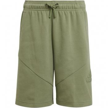 Pantalones cortos adidas Future Icons Logo 8 Inch Infantil Verde