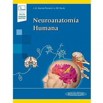 Neuroanatomia humana