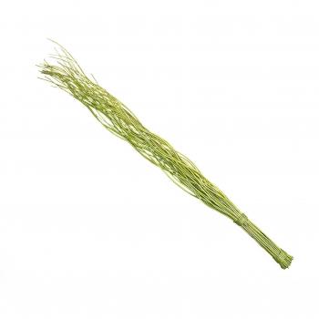 Steingaesser 12078 03 0700 Curly Willow - Ramilletes decorativos