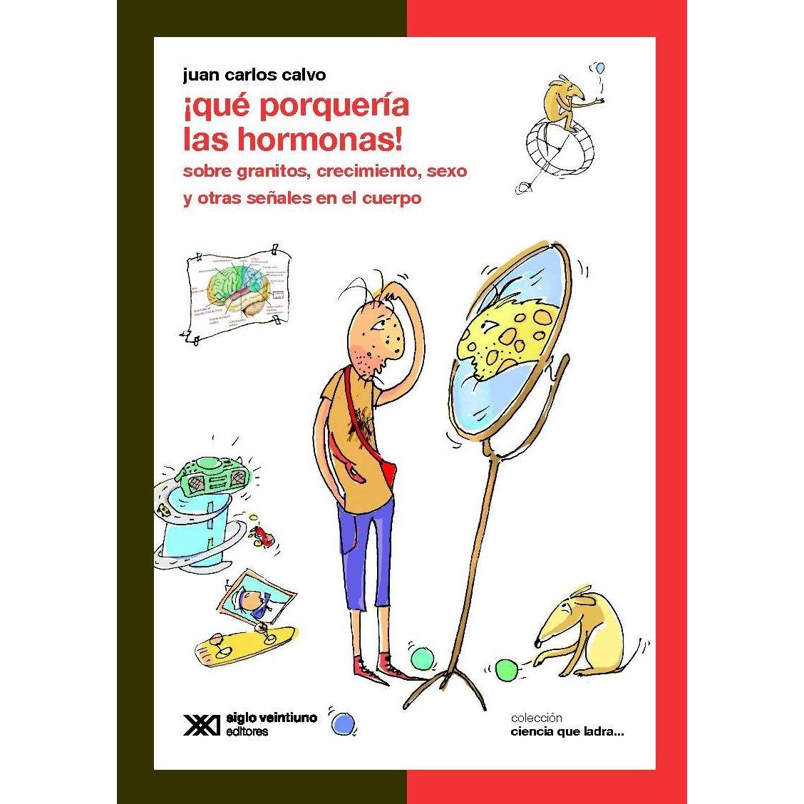 Imagen Principal