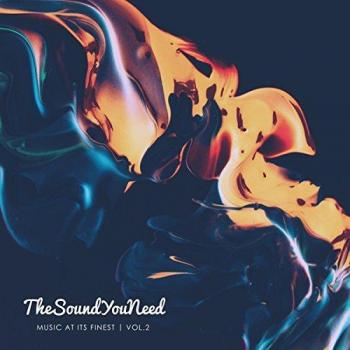 Premium Vinyl Record Collection - The Sound You Need: Music at Its Finest