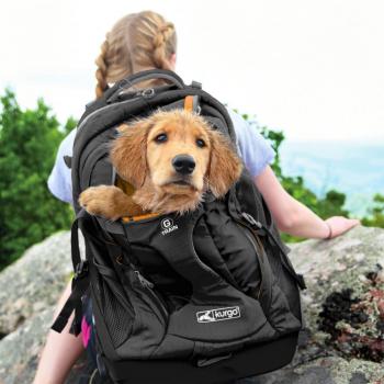 Kurgo G-Train K9 Black Dog Backpack, 3.14 LBS, Black