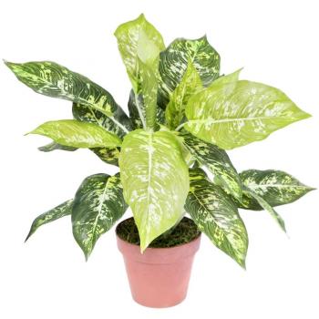 Planta artificial Calatea Luisae 49 cm