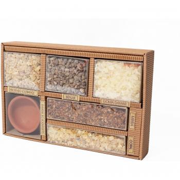 Auroshikha Memoria Arboles 5 Resinas Granulo/Un Cuenco Cerami 100 ml