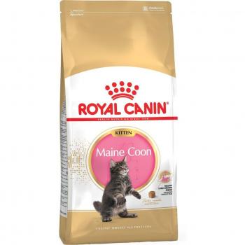 Royal Canin Maine Coon Kitten Dry Cat Food, 4 kg