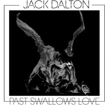Past swallows love vinyl