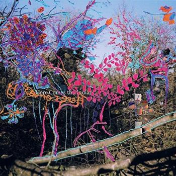 Here Comes The Indian [Vinilo] - Animal Collective
