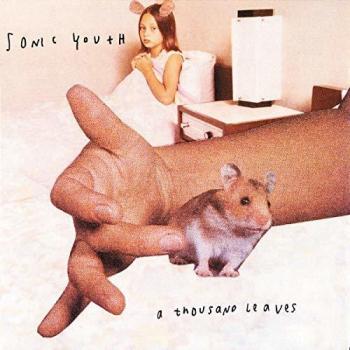 A Thousand Leaves - Sonic Youth
