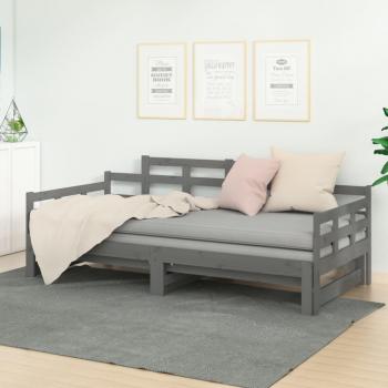 Sofá cama extraíble de madera maciza de pino gris 2x(80x200) cm