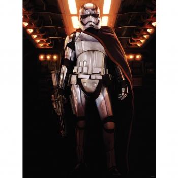 Descargue DISEÑO 2752VEA Star Wars Episodio VII Las Fuerza Wallpaper reloj Polar papel 2 Multi Panels 206 x 275 cm