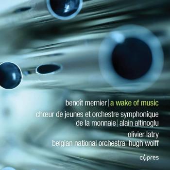Despertar Musical - WOLFF