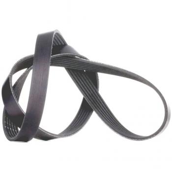 Correa trapecial poli V FB 6PK1245 de INA