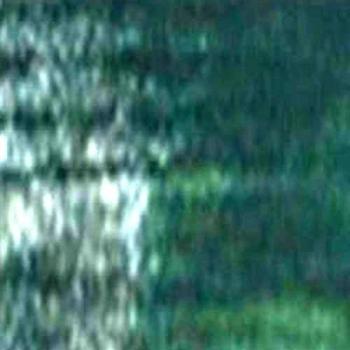 Derwent Inktense Pencils - Ionian Green 132