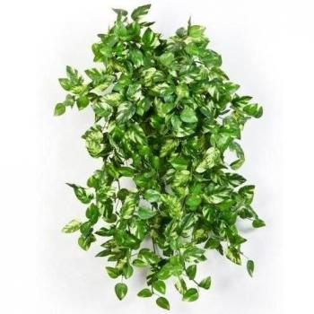 artplants.de Mini arbusto Enredadera pothos Artificial con 560 Hojas, Verde-Amarillo, 55cm - Pequeña Planta Decorativa - Mata Colgante sintética