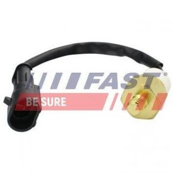 Interruptor de temperatura con testigo de líquido refrigerante FAST FT80157 para IVECO DAILY 2 y 3 Kasten/Kombi