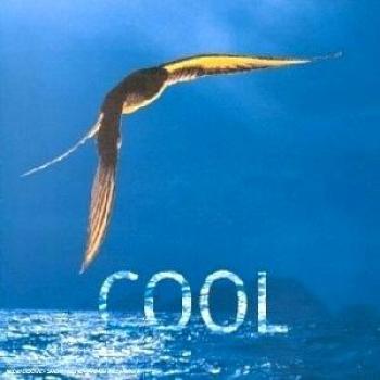 Cool